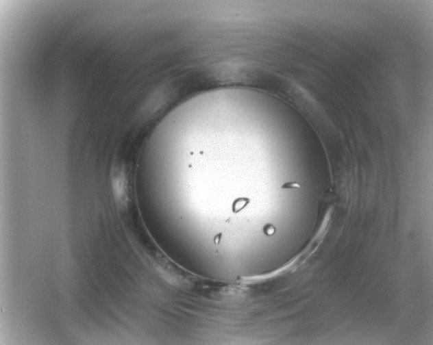 X0000066100124200603171407