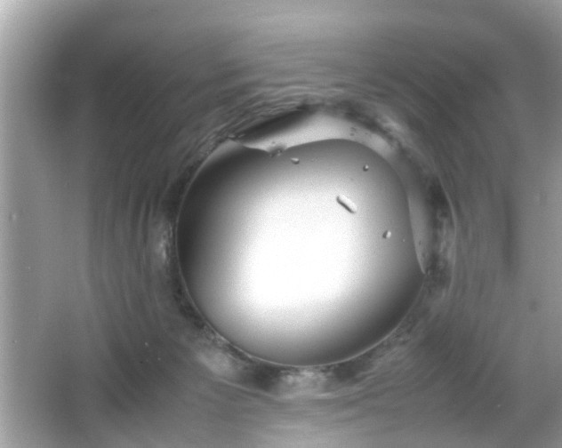 X0000066100125200603171407