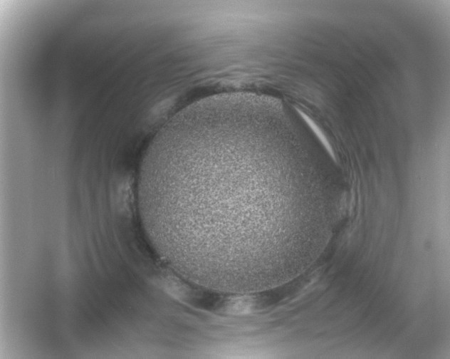 X0000066100127200603171407