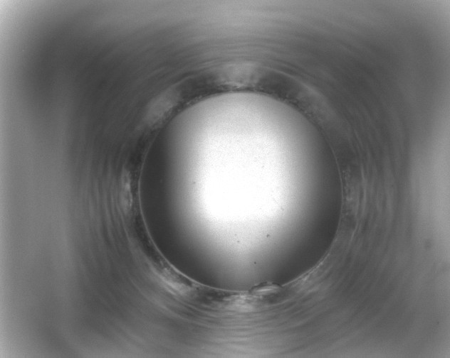 X0000066100128200603171407