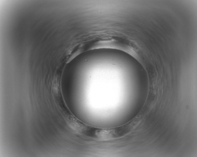 X0000066100129200603171407