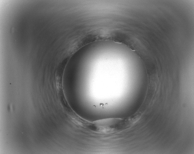 X0000066100135200603171406