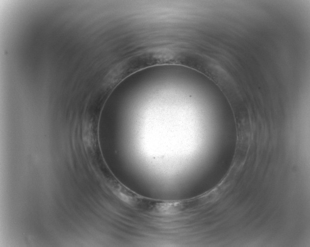 X0000066100136200603171406