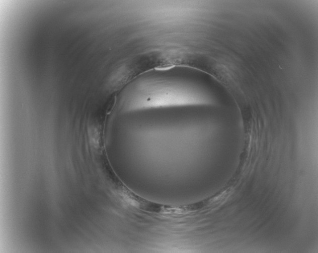 X0000066100139200603171406