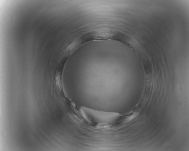 X0000066100143200603171406