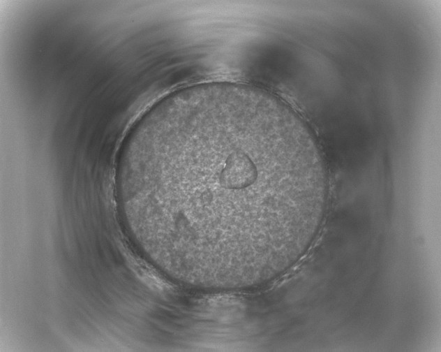 X0000066100146200603171405