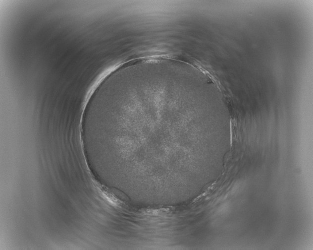 X0000066100147200603171405