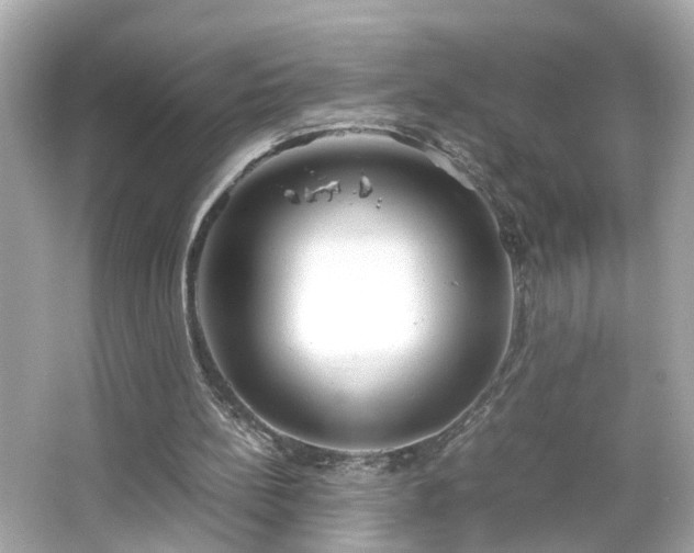 X0000066100148200603171405