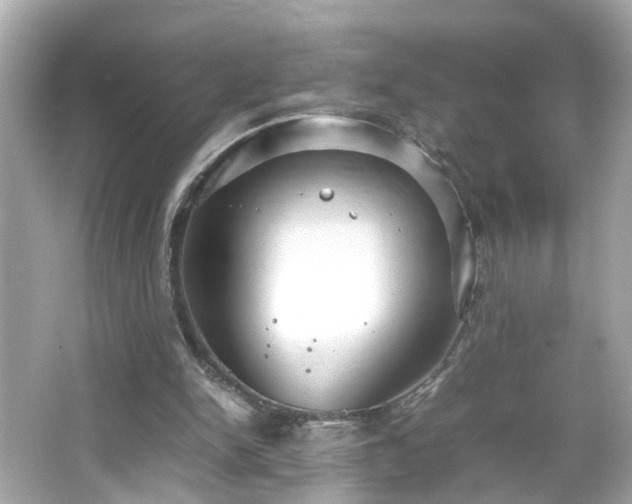 X0000066100150200603171406