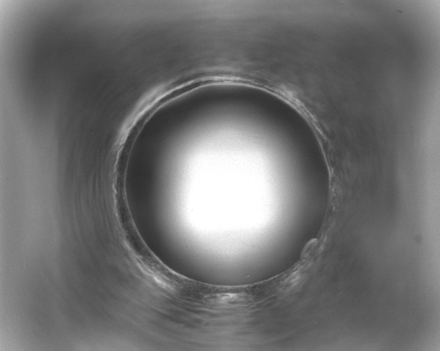 X0000066100151200603171406