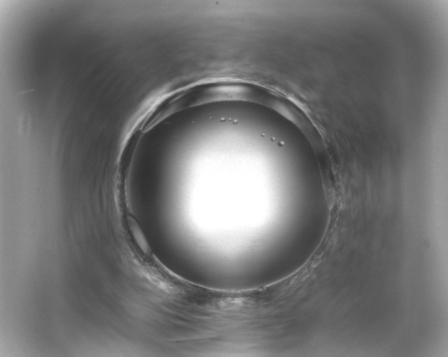 X0000066100152200603171406