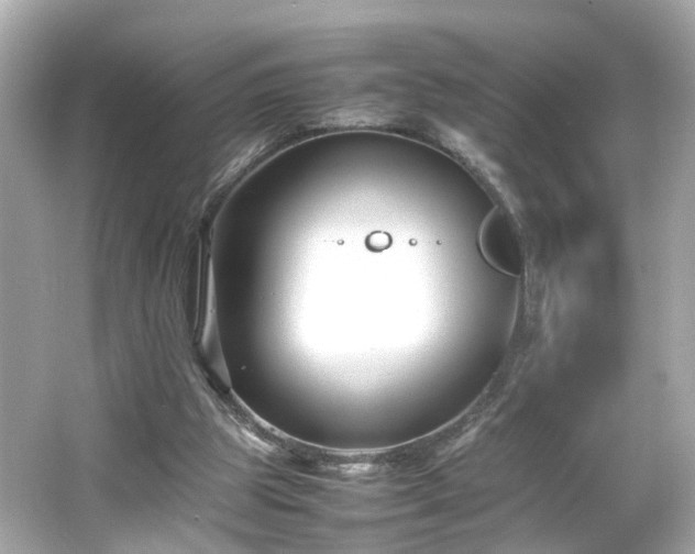 X0000066100153200603171406