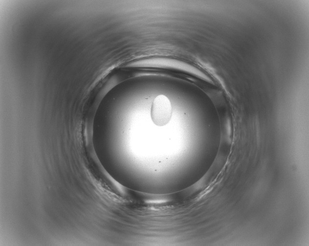 X0000066100154200603171406