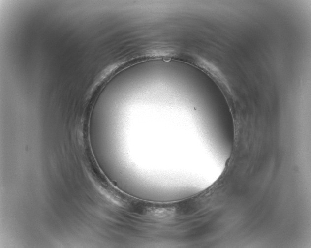 X0000066100155200603171406