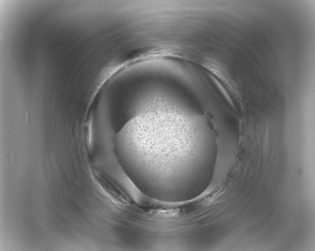 X0000066100156200603171406