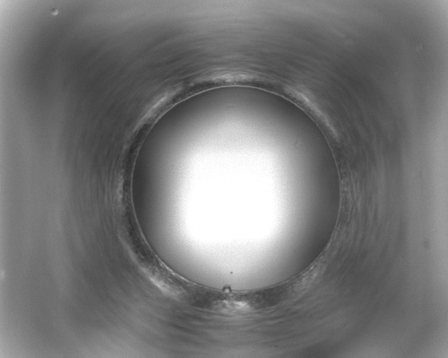 X0000066100159200603171406