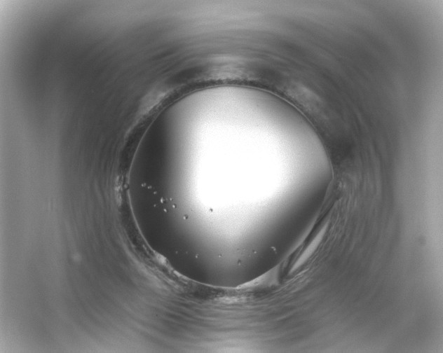 X0000066100160200603171406