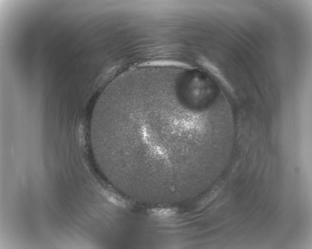 X0000066100161200603171406