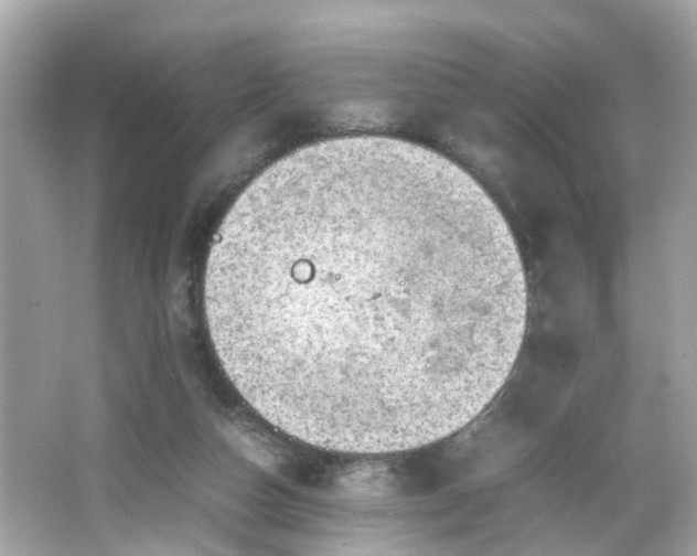 X0000066100162200603171406