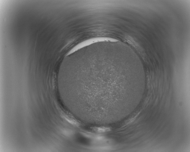 X0000066100165200603171406