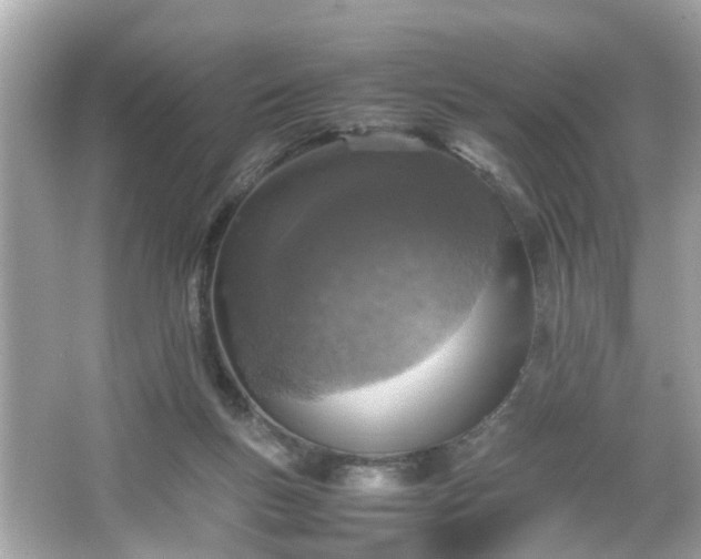 X0000066100167200603171406