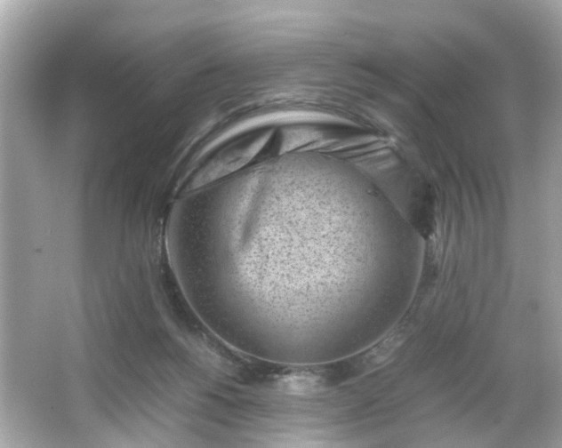 X0000066100168200603171406