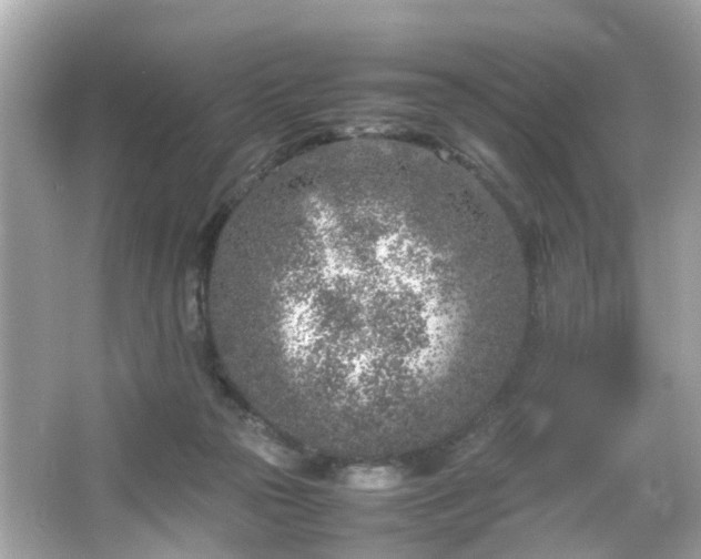 X0000066100169200603171406