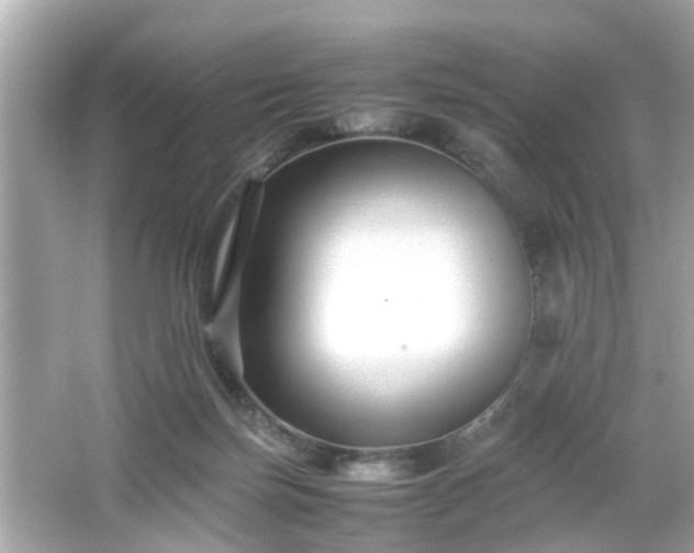 X0000066100171200603171406