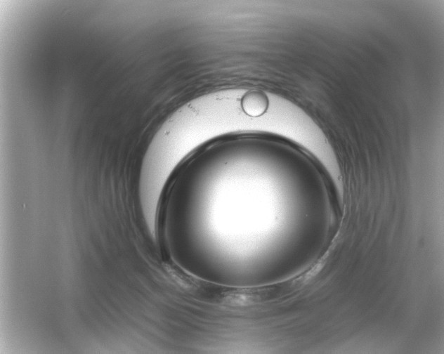 X0000066100174200603171406