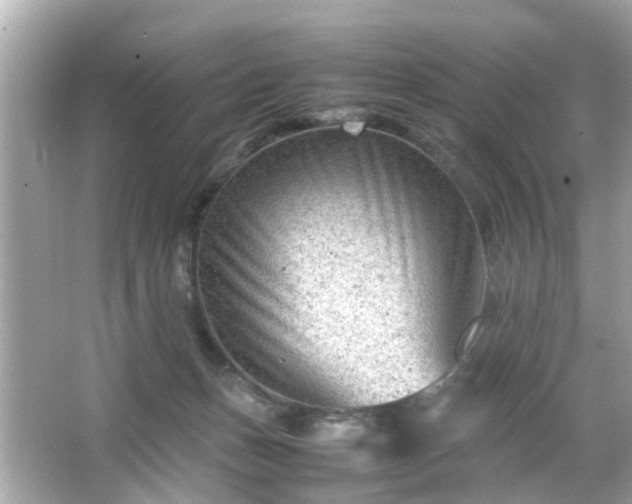 X0000066100175200603171406