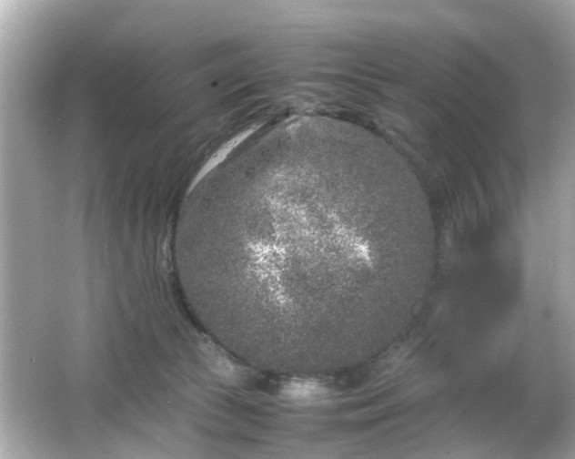 X0000066100177200603171406