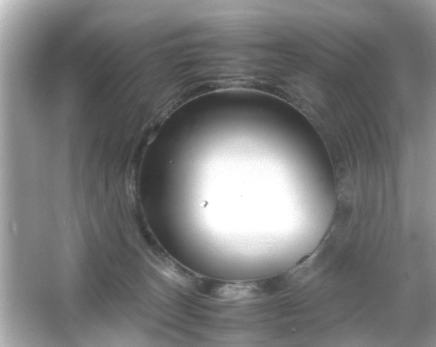 X0000066100179200603171406