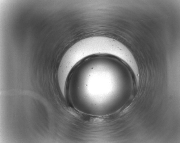 X0000066100180200603171406