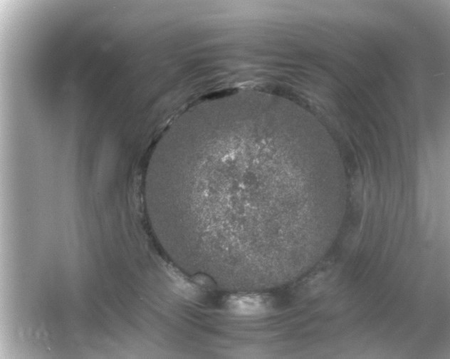 X0000066100181200603171406