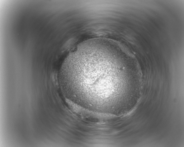 X0000066100182200603171406