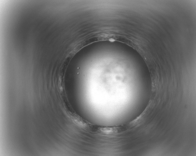 X0000066100187200603171406