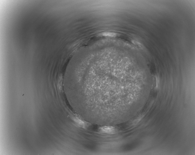 X0000066100189200603171406