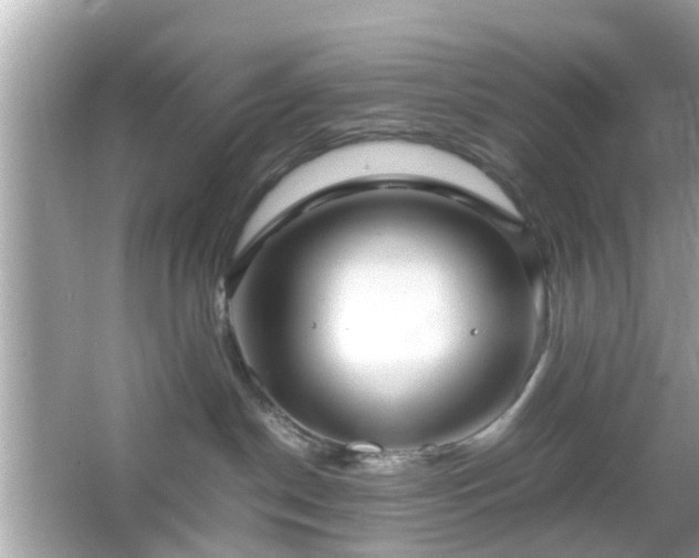 X0000066100190200603171406