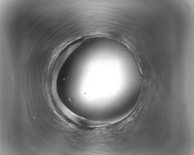 X0000066100193200603171405