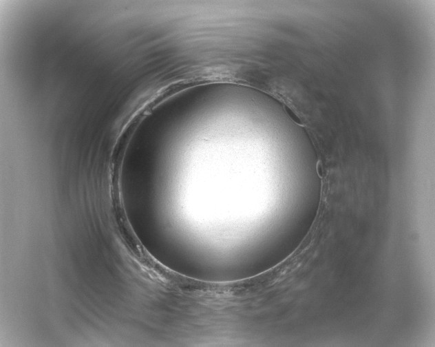 X0000066100194200603171405