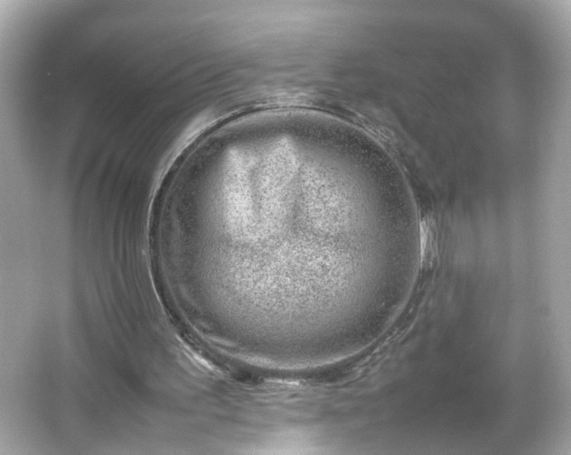 X0000066100195200603171405