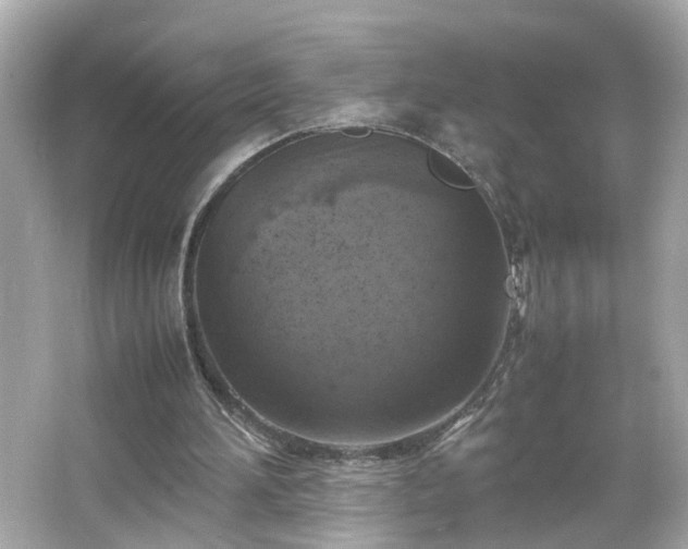 X0000066100196200603171405