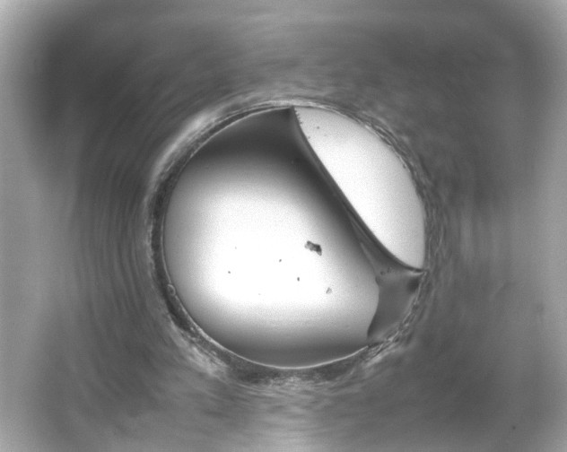 X0000066100197200603171405