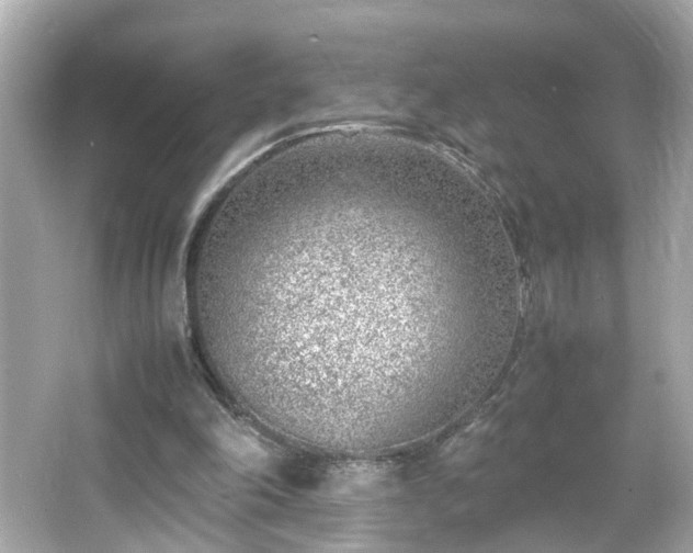 X0000066100198200603171405