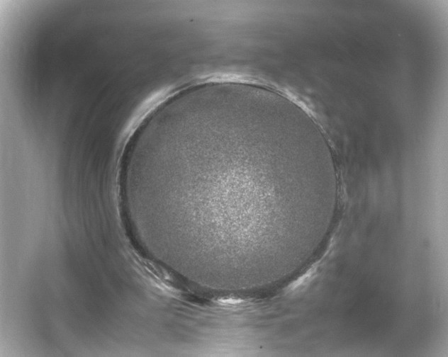 X0000066100199200603171405