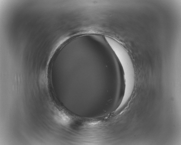 X0000066100200200603171405