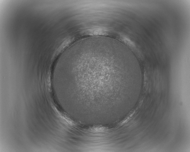 X0000066100202200603171405