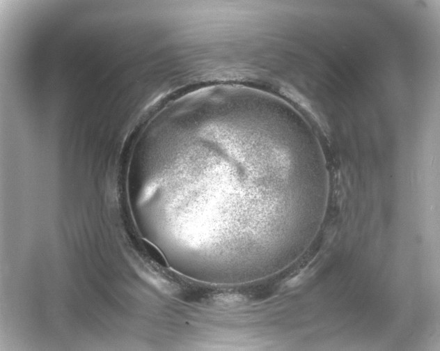 X0000066100203200603171405