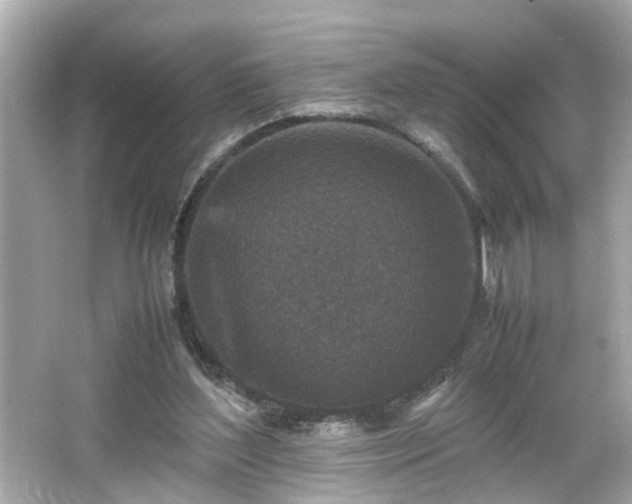 X0000066100204200603171405