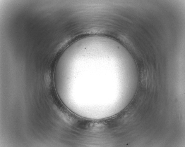 X0000066100208200603171405